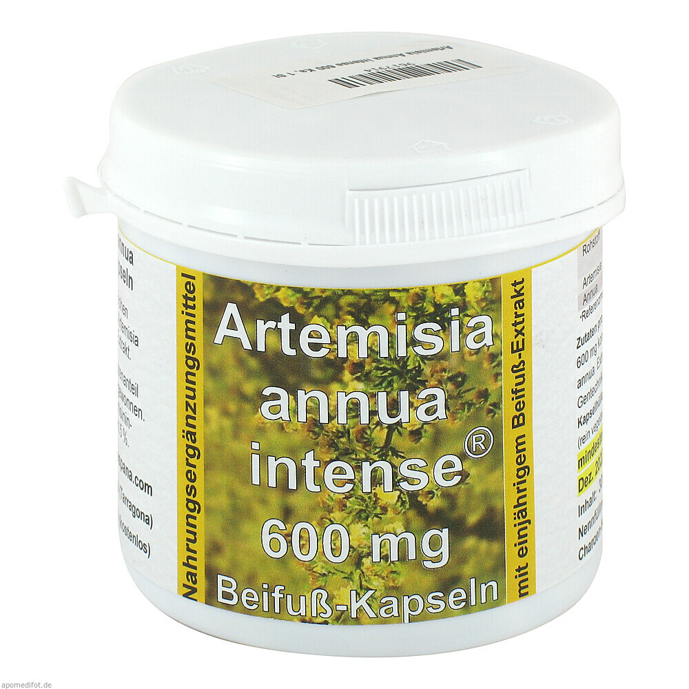 Artemisia annua intense 600