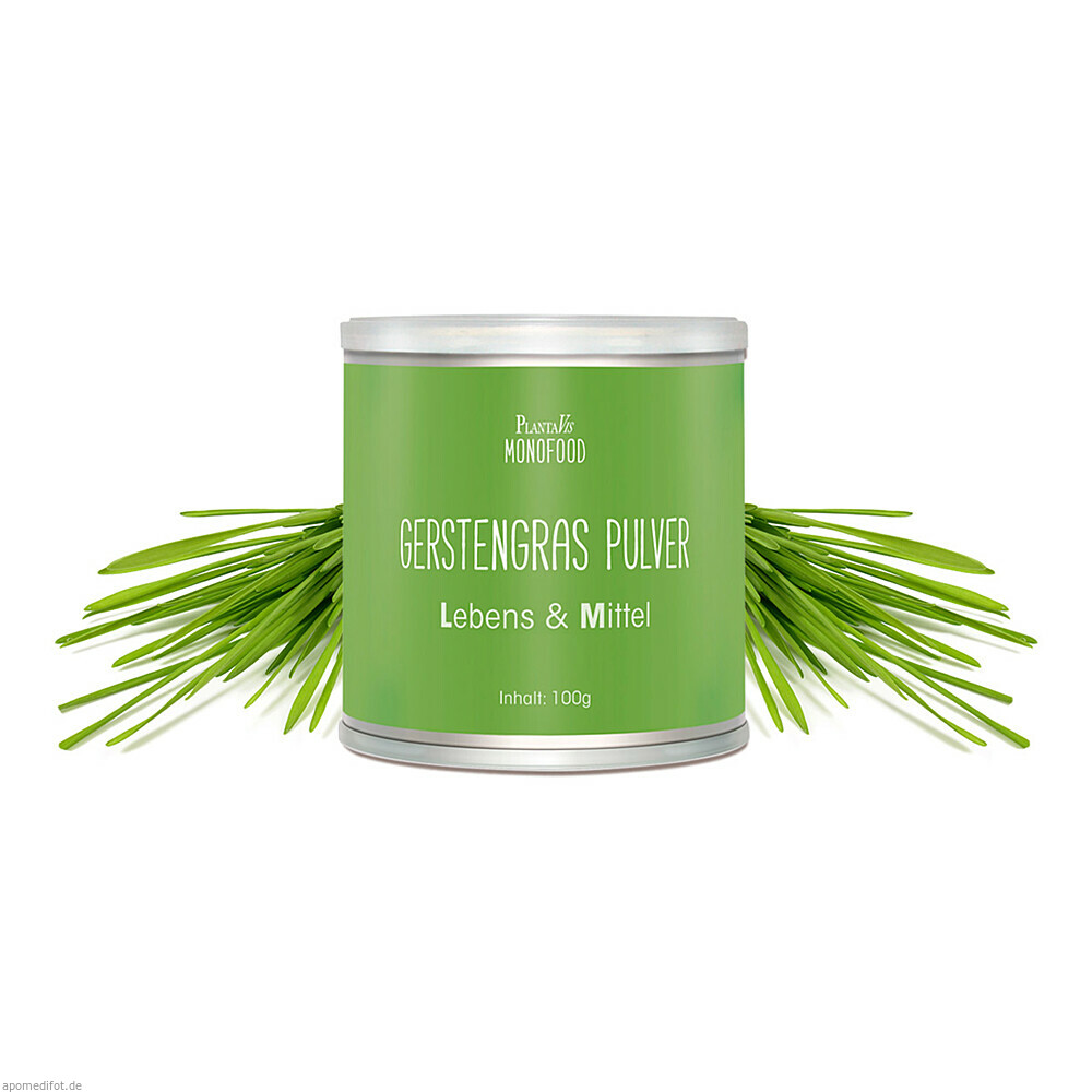 Gerstengras Pulver