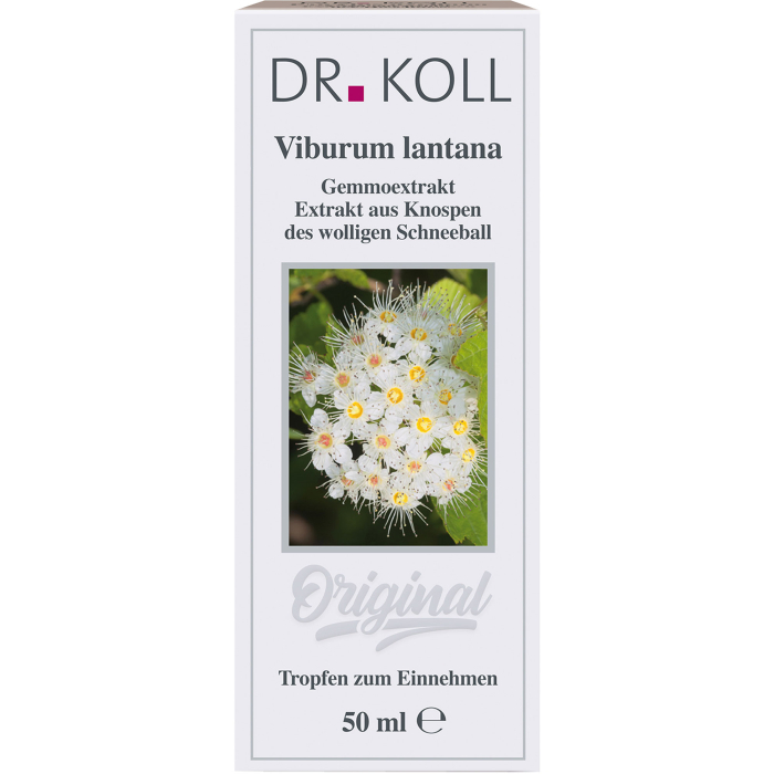 Produktabbildung PZN 09762705