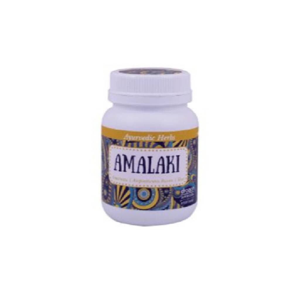 Amalaki Ayurveda Pulver organisch