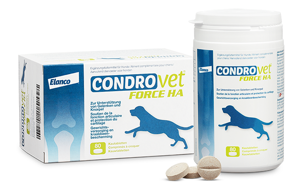 Condrovet Force HA Kautabletten für Hunde