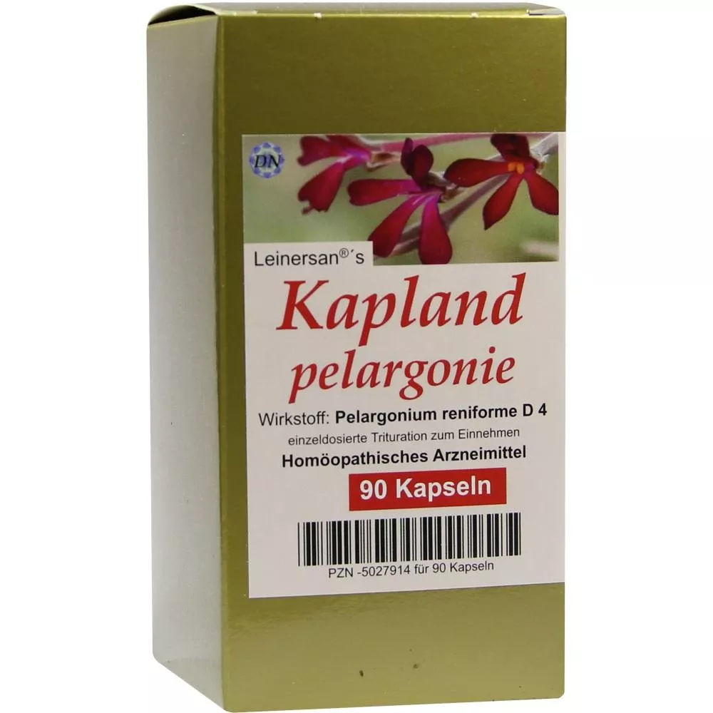 Kaplandpelargonie